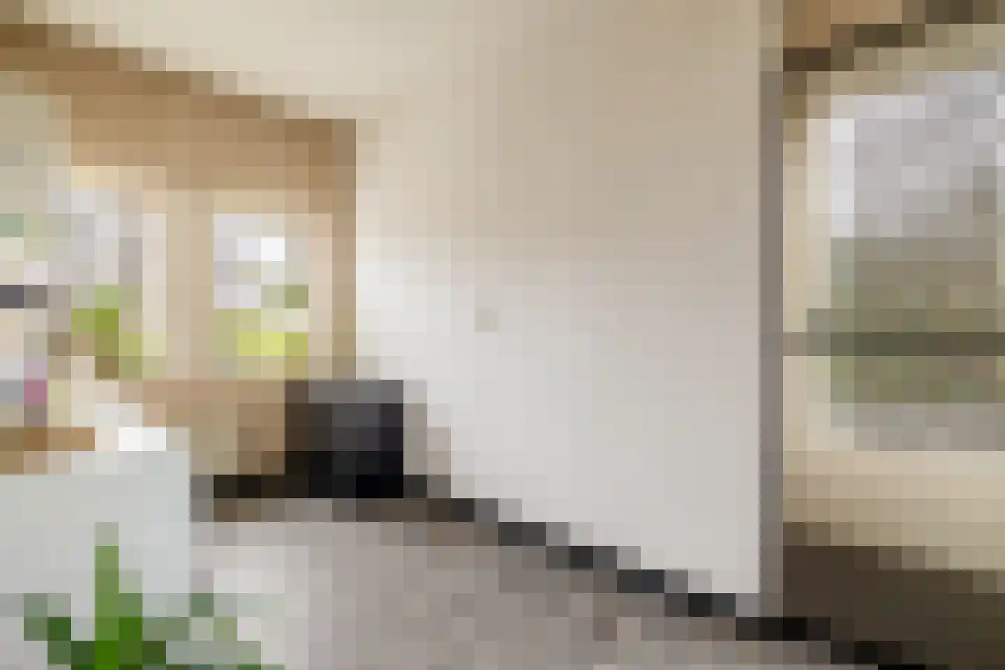 Blijhamsterweg 32 Winschoten thumbnail 44