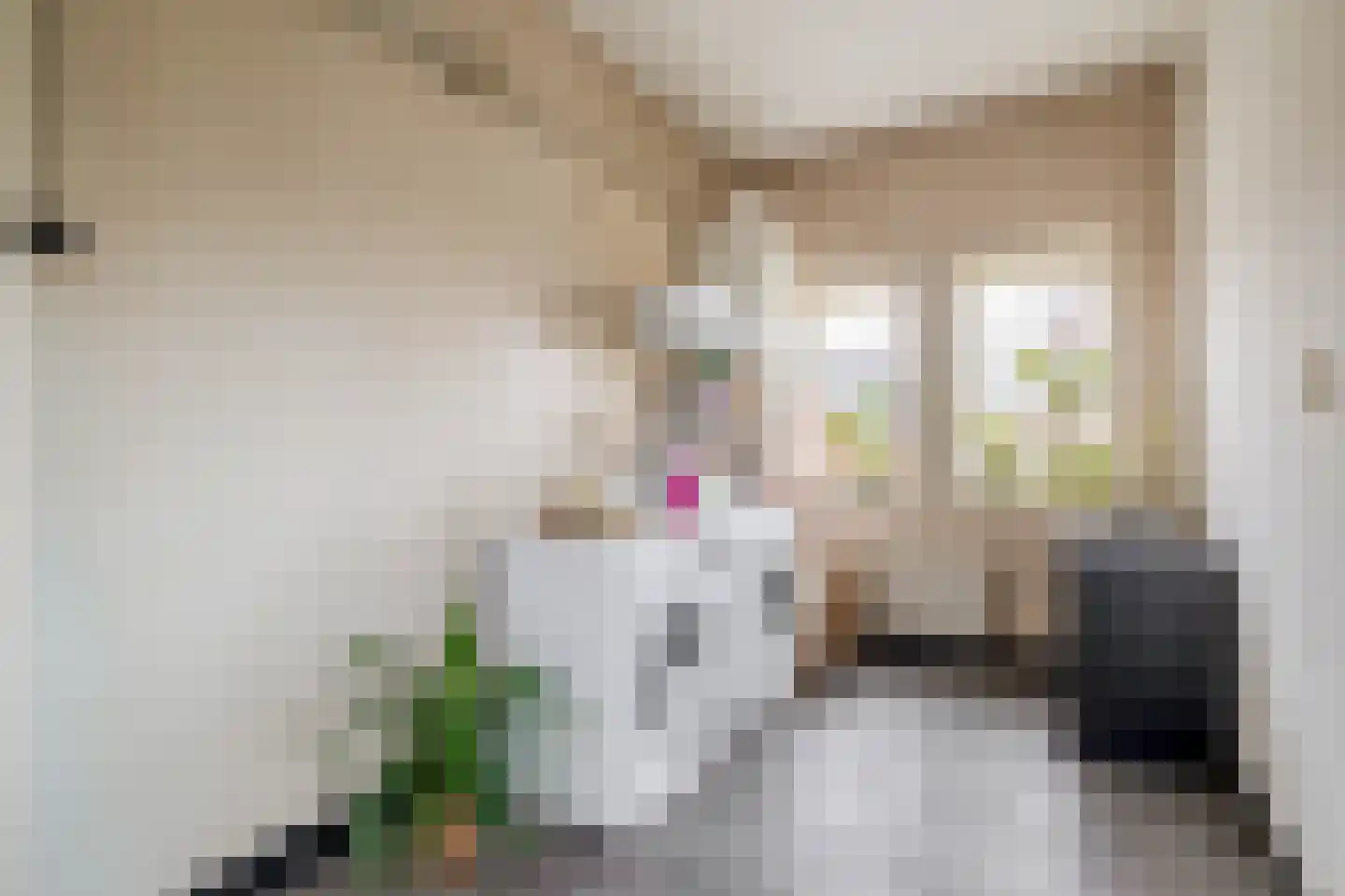 Blijhamsterweg 32 Winschoten thumbnail 45