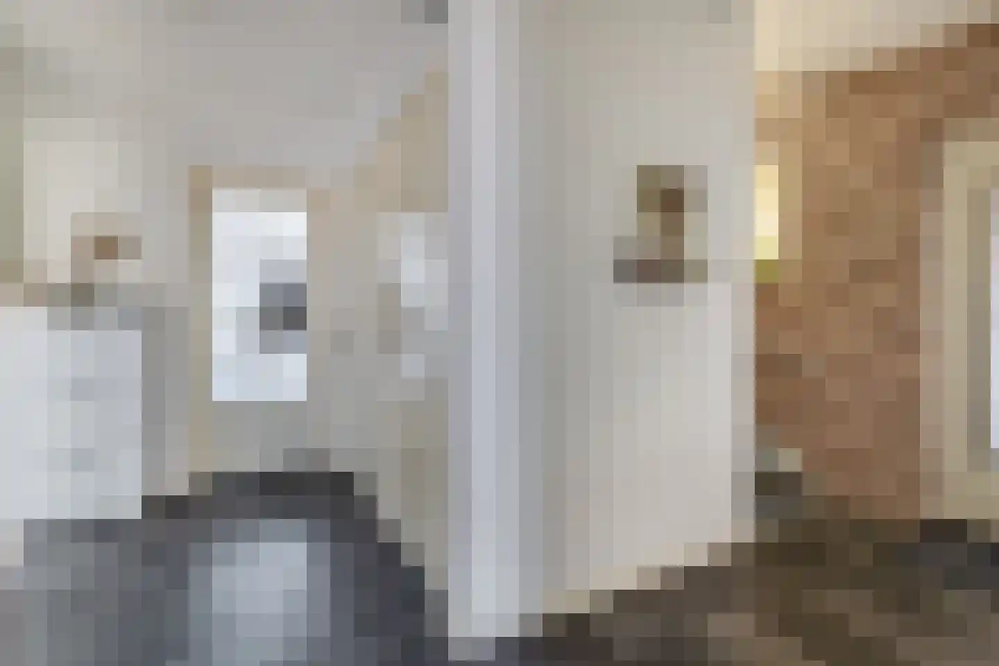 Blijhamsterweg 32 Winschoten thumbnail 5