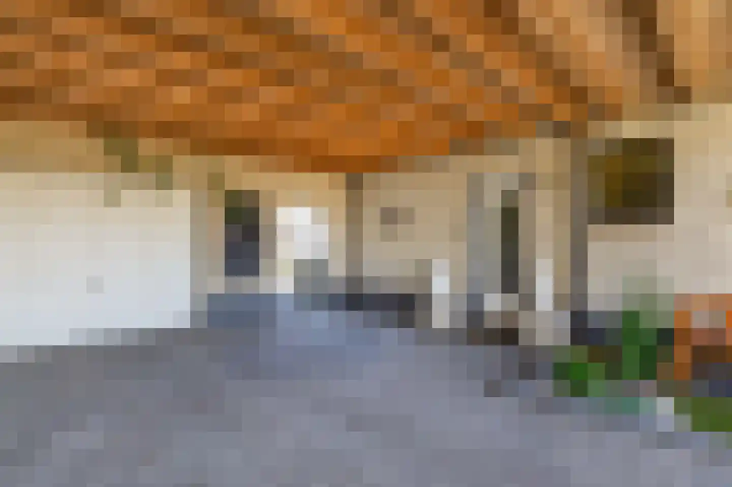 Blijhamsterweg 32 Winschoten thumbnail 52