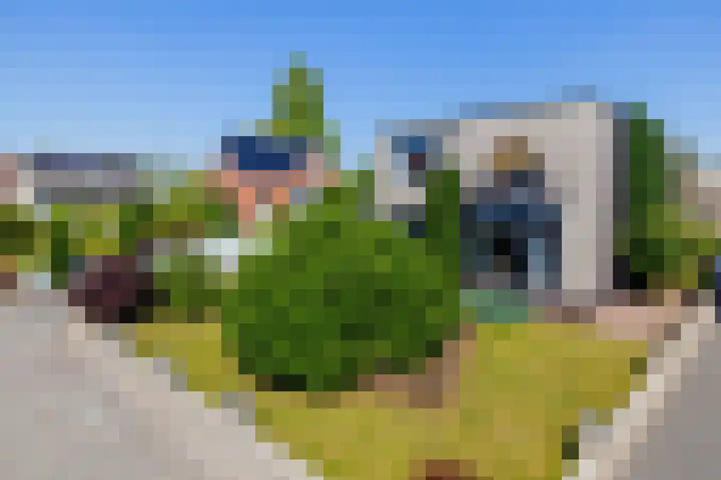 Blijhamsterweg 32 Winschoten thumbnail 55