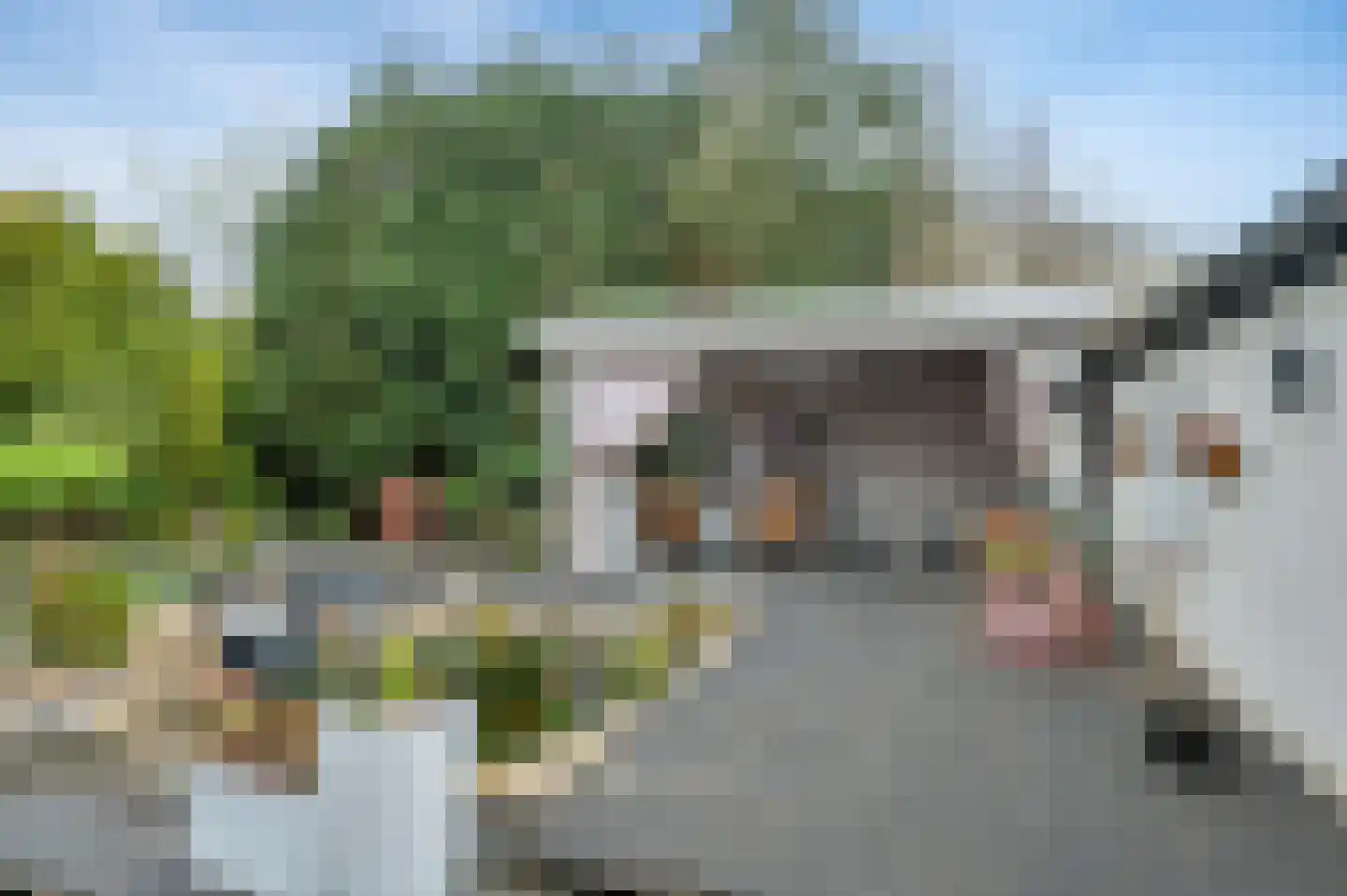 Blijhamsterweg 32 Winschoten thumbnail 57
