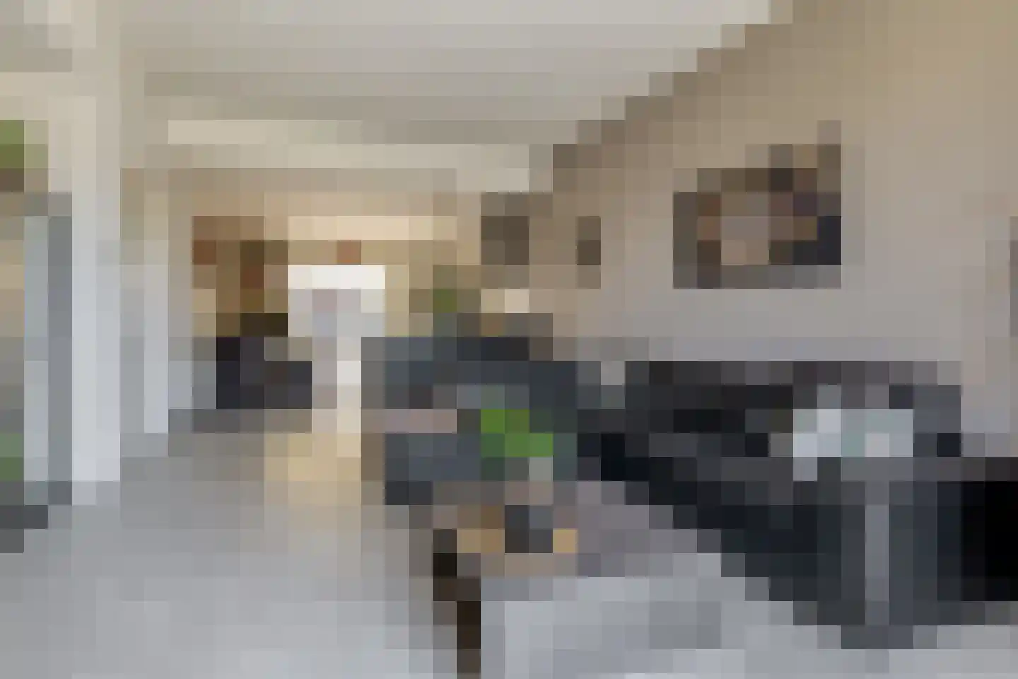 Blijhamsterweg 32 Winschoten thumbnail 9