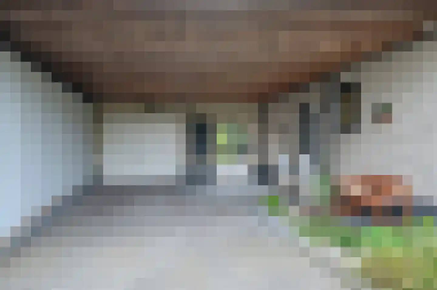 Blijhamsterweg 32 Winschoten thumbnail 9