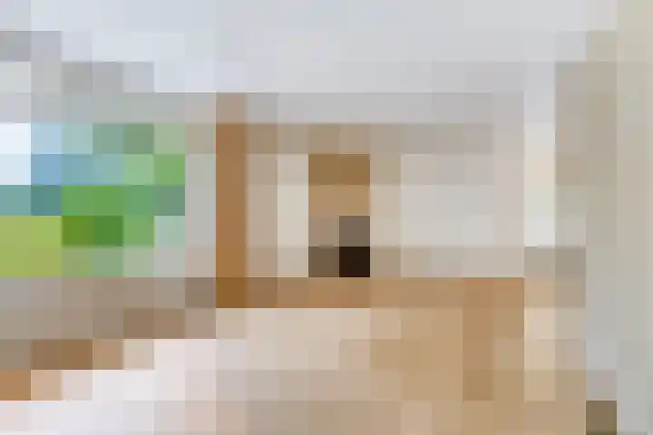 Blijhamsterweg 8 a Bellingwolde thumbnail 10