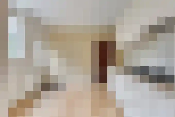 Blijhamsterweg 8 a Bellingwolde thumbnail 17