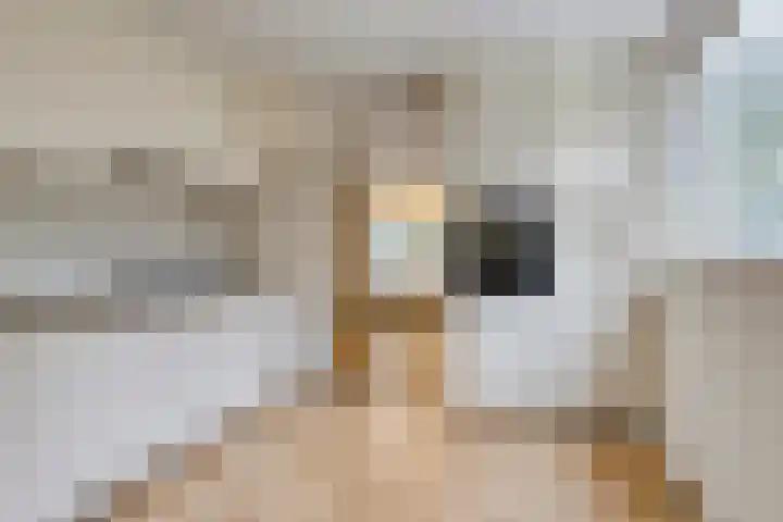 Blijhamsterweg 8 a Bellingwolde thumbnail 18
