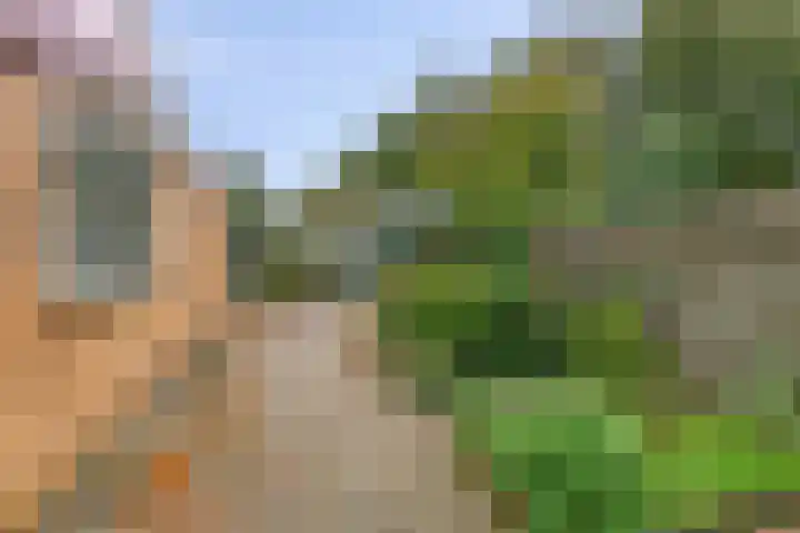Blijhamsterweg 8 a Bellingwolde thumbnail 32