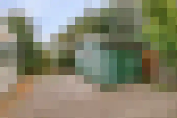Blijhamsterweg 8 a Bellingwolde thumbnail 33