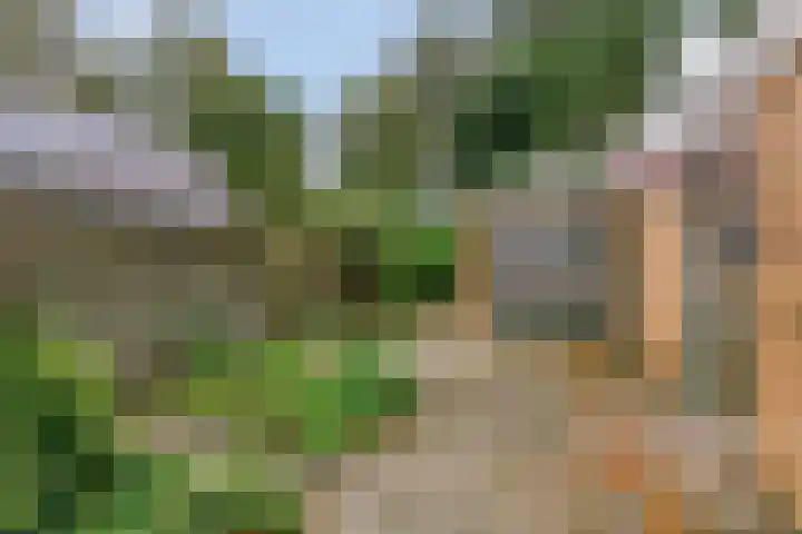 Blijhamsterweg 8 a Bellingwolde thumbnail 35