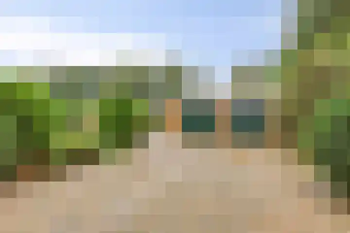 Blijhamsterweg 8 a Bellingwolde thumbnail 4