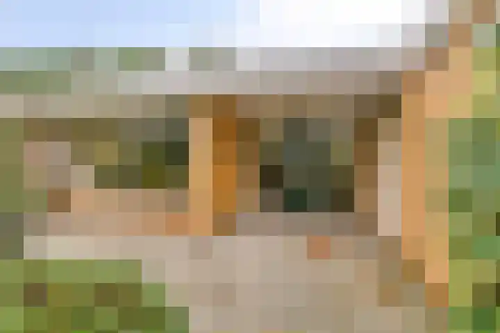 Blijhamsterweg 8 a Bellingwolde thumbnail 5