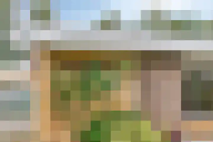 Blijhamsterweg 8 a Bellingwolde thumbnail 7