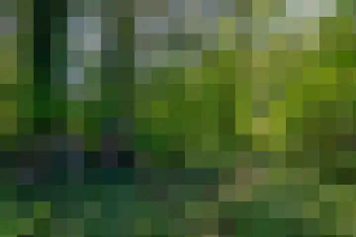 Blijhamsterweg 86 Winschoten thumbnail 35