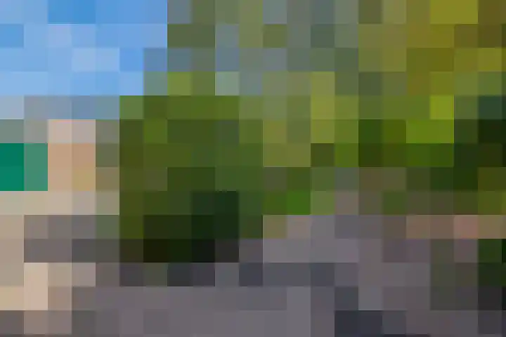 Blijhamsterweg 86 Winschoten thumbnail 37