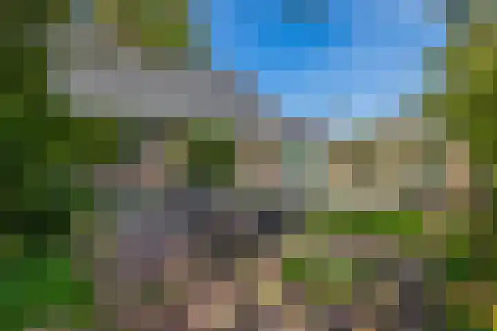 Blijhamsterweg 86 Winschoten thumbnail 40