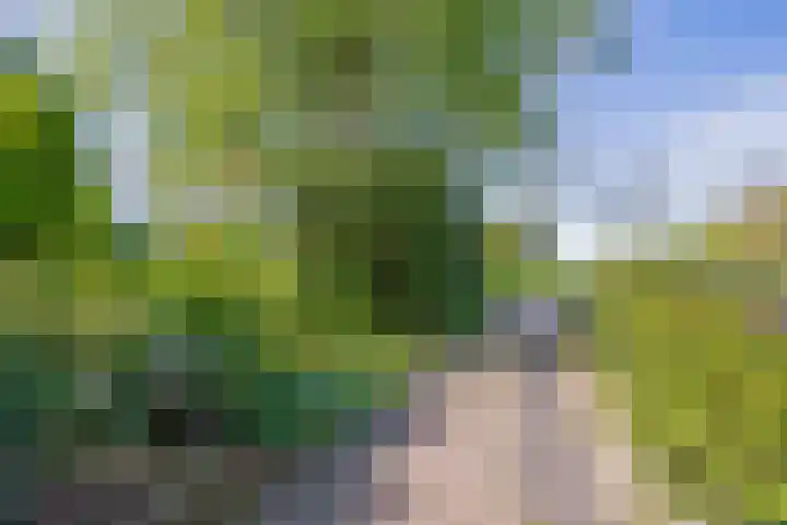 Blijhamsterweg 86 Winschoten thumbnail 41