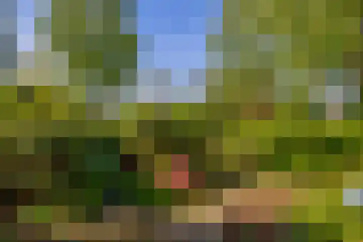 Blijhamsterweg 86 Winschoten thumbnail 42