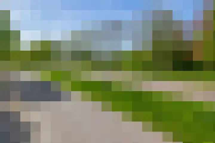 Blijhamsterweg 86 Winschoten thumbnail 46