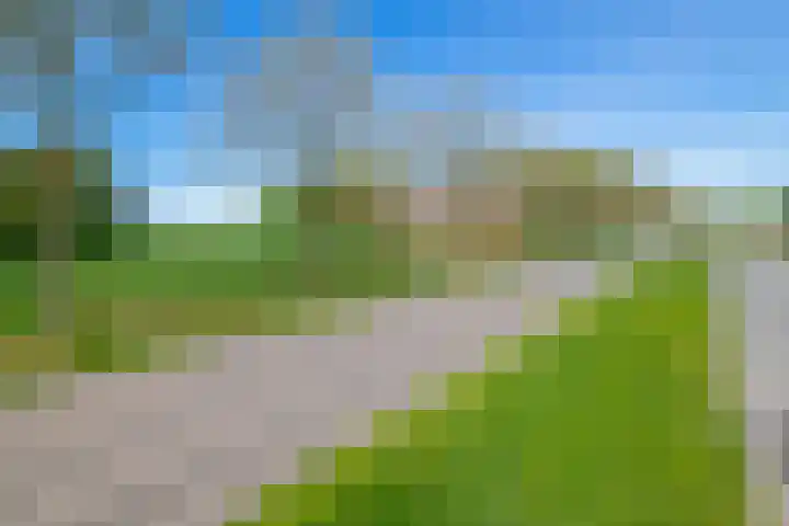 Blijhamsterweg 86 Winschoten thumbnail 47