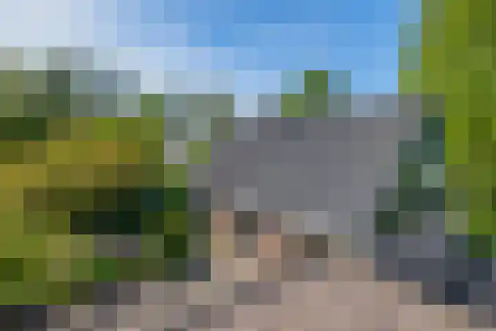 Blijhamsterweg 86 Winschoten thumbnail 5