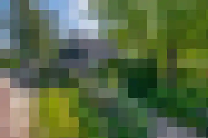 Blijhamsterweg 86 Winschoten thumbnail 7