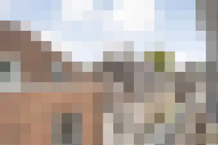 Blijmarkt 12 K Zwolle thumbnail 21