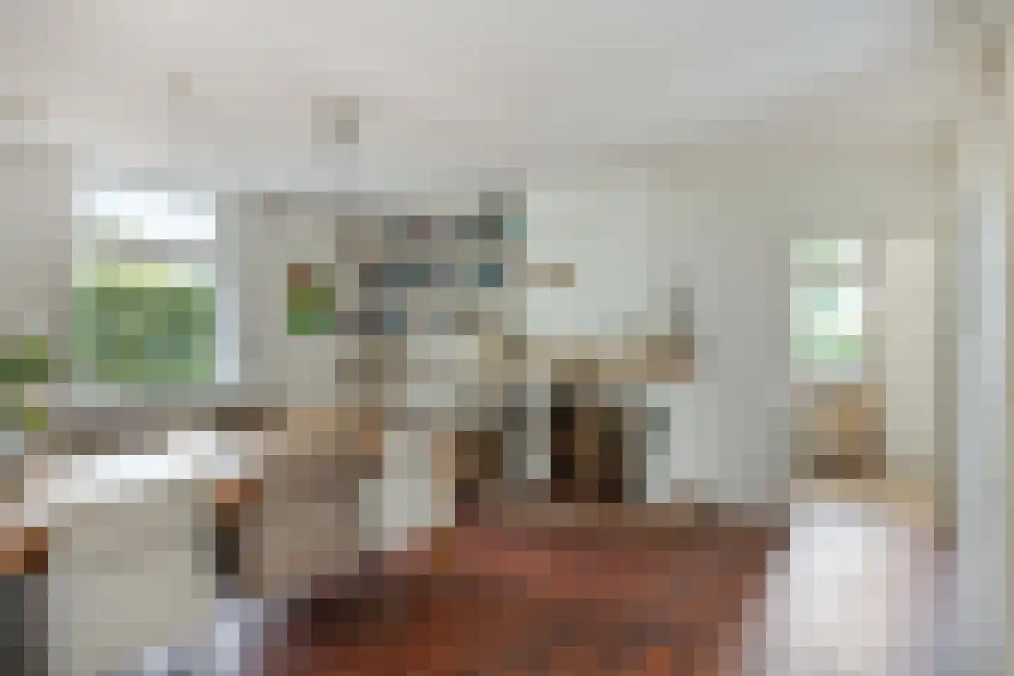 Blijpolderseweg 1 Zuiddorpe thumbnail 10