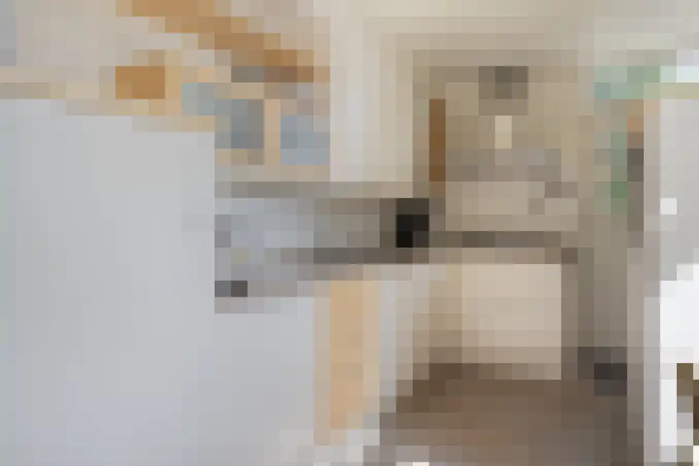 Blijpolderseweg 1 Zuiddorpe thumbnail 13