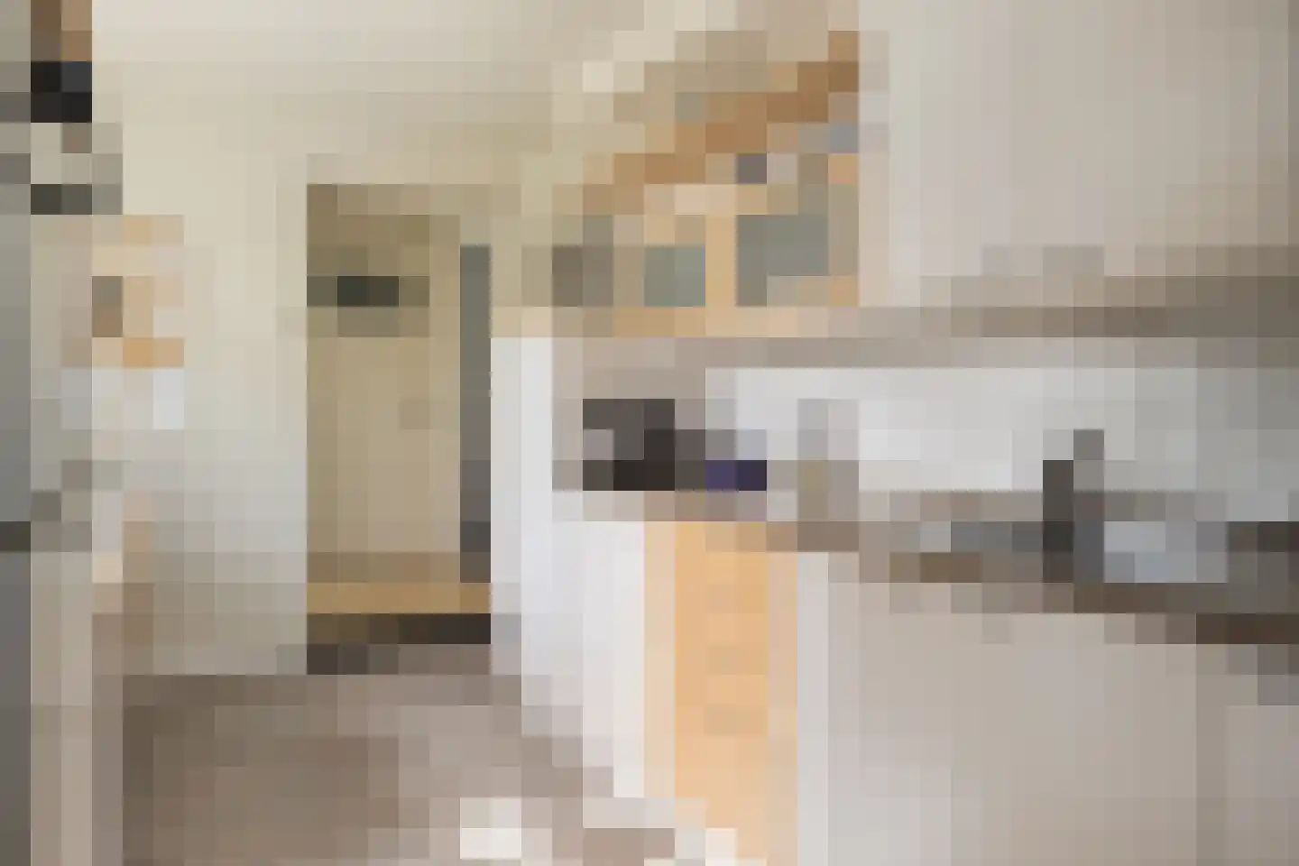 Blijpolderseweg 1 Zuiddorpe thumbnail 14