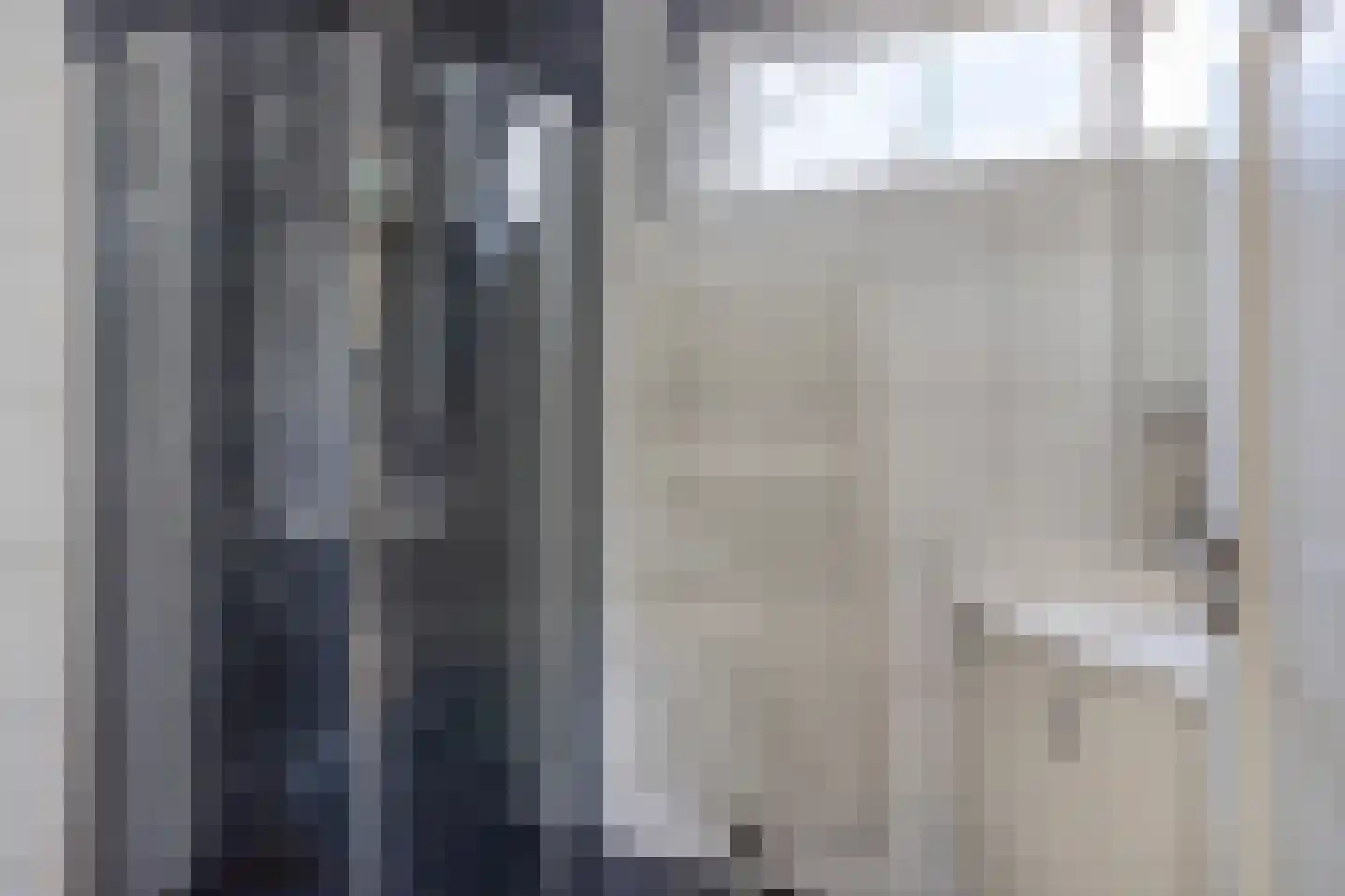 Blijpolderseweg 1 Zuiddorpe thumbnail 20