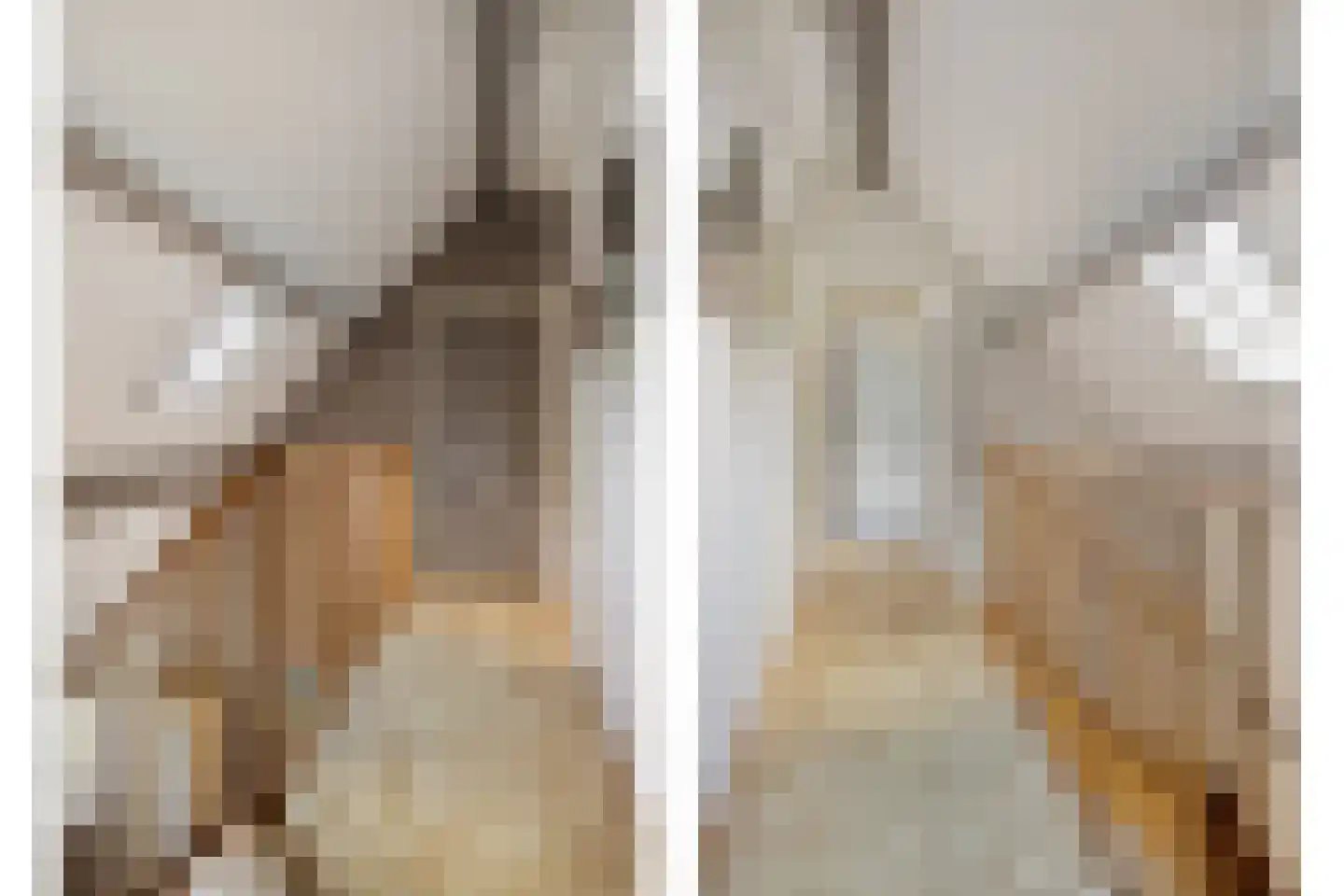 Blijpolderseweg 1 Zuiddorpe thumbnail 22