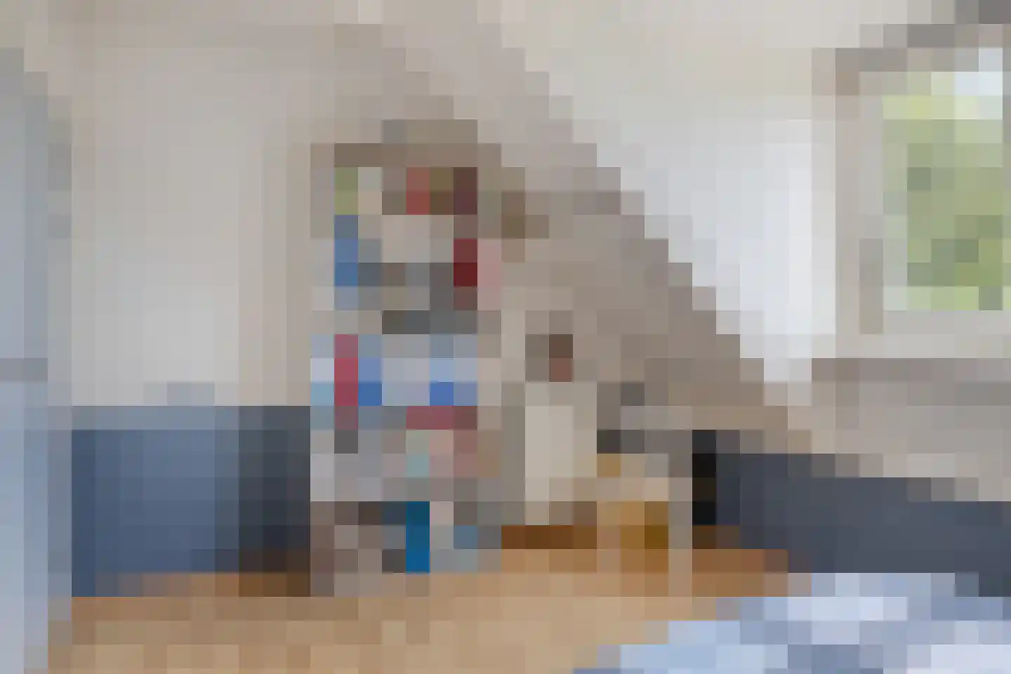 Blijpolderseweg 1 Zuiddorpe thumbnail 24