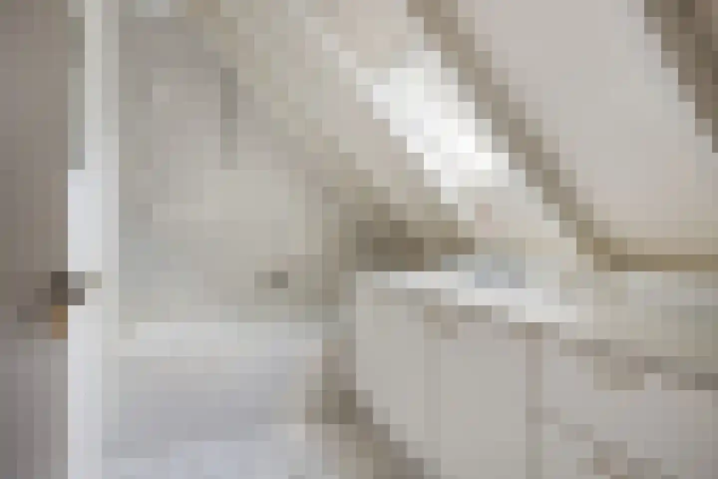 Blijpolderseweg 1 Zuiddorpe thumbnail 26