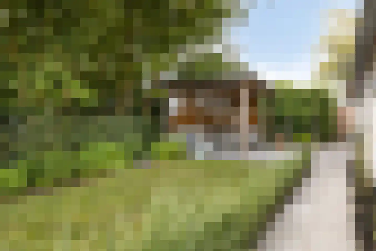 Blijpolderseweg 1 Zuiddorpe thumbnail 31