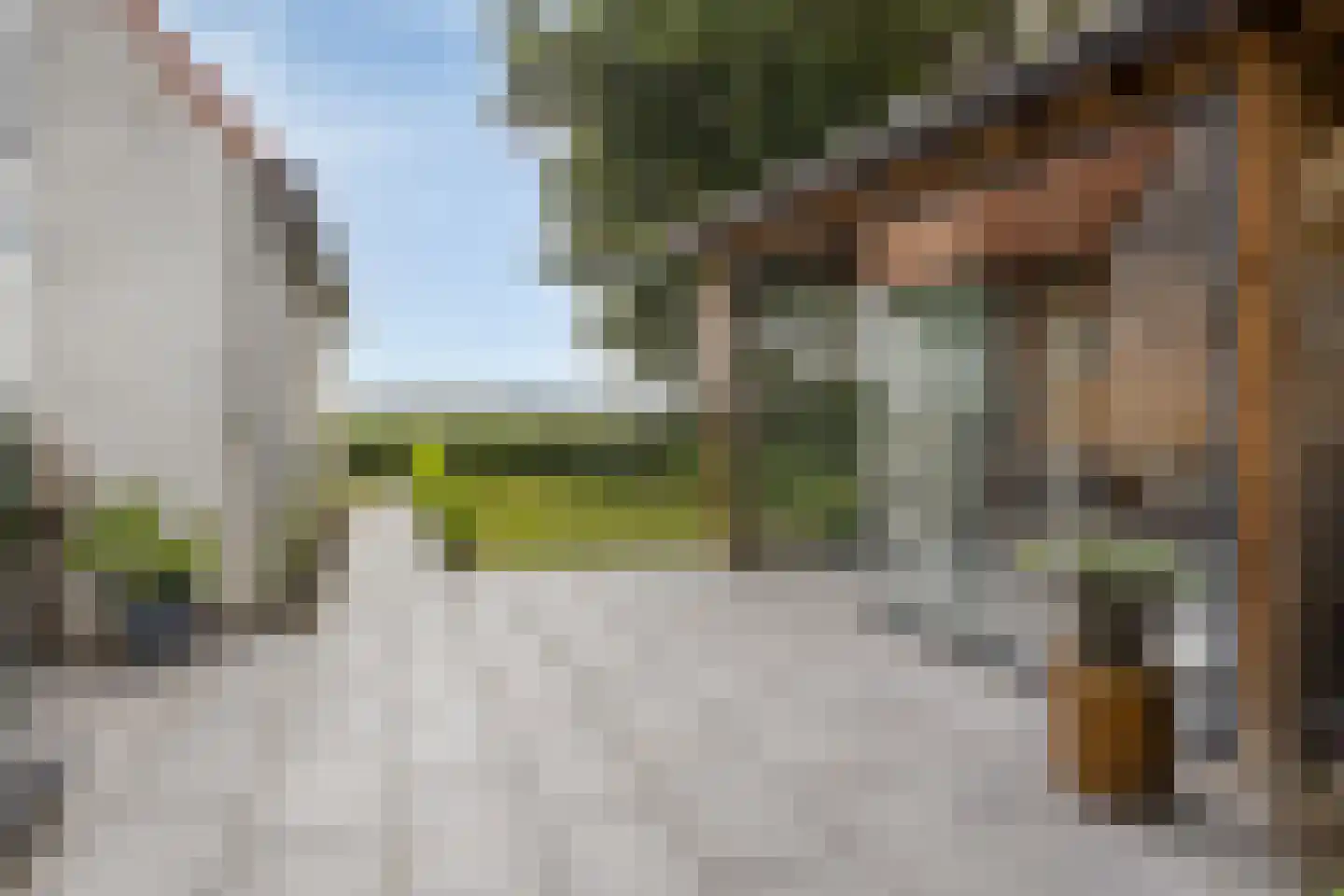 Blijpolderseweg 1 Zuiddorpe thumbnail 32