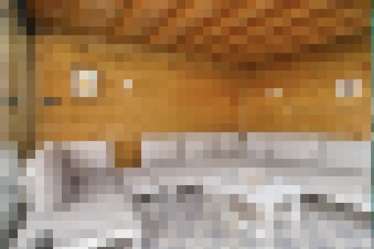 Blijpolderseweg 1 Zuiddorpe thumbnail 33