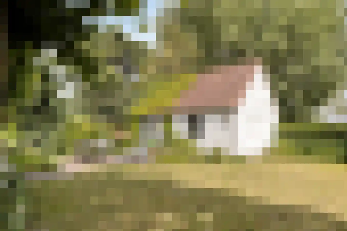 Blijpolderseweg 1 Zuiddorpe thumbnail 36