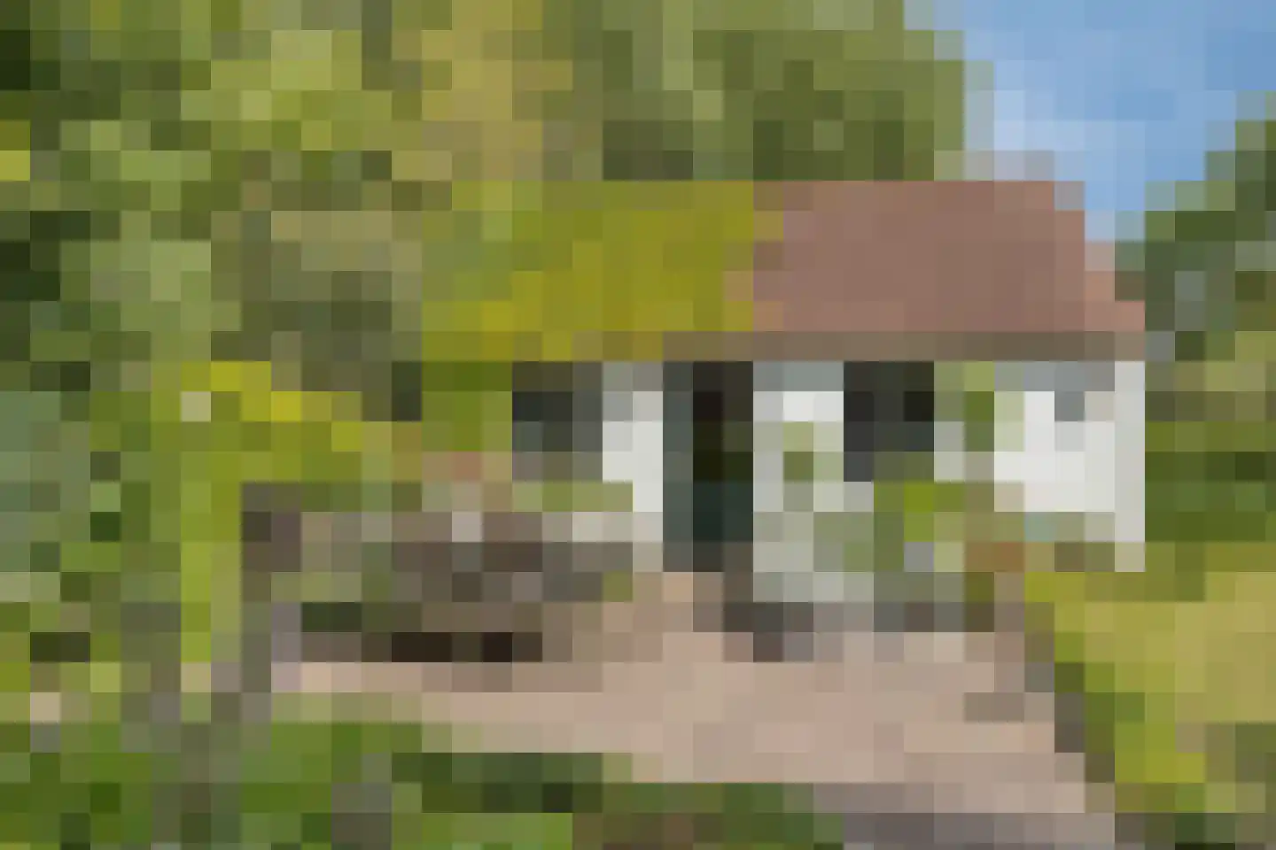 Blijpolderseweg 1 Zuiddorpe thumbnail 37