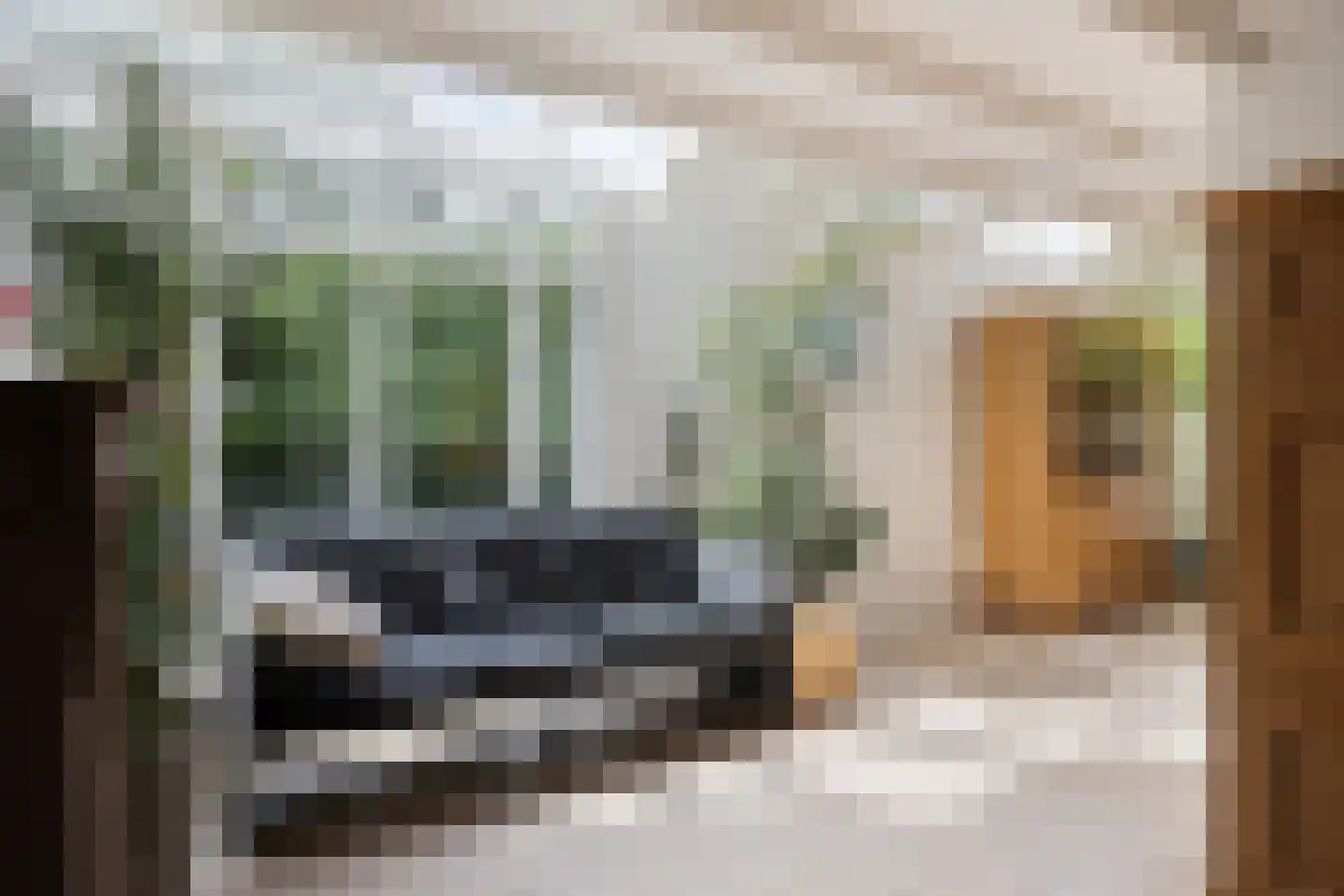 Blijpolderseweg 1 Zuiddorpe thumbnail 4
