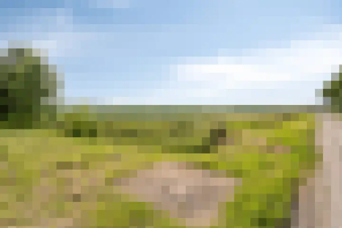 Blijpolderseweg 1 Zuiddorpe thumbnail 40
