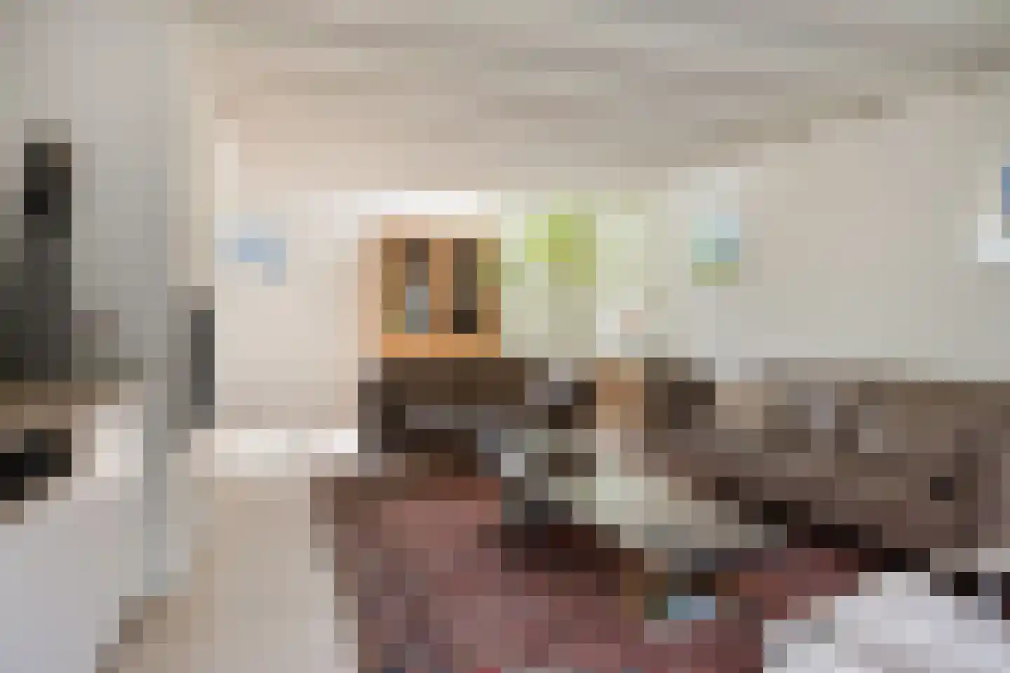Blijpolderseweg 1 Zuiddorpe thumbnail 7