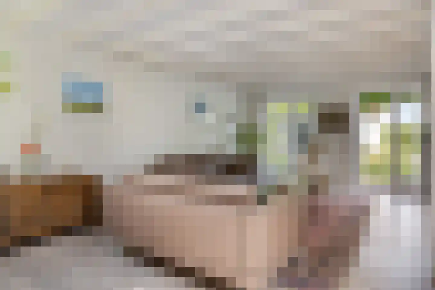 Blijpolderseweg 1 Zuiddorpe thumbnail 8