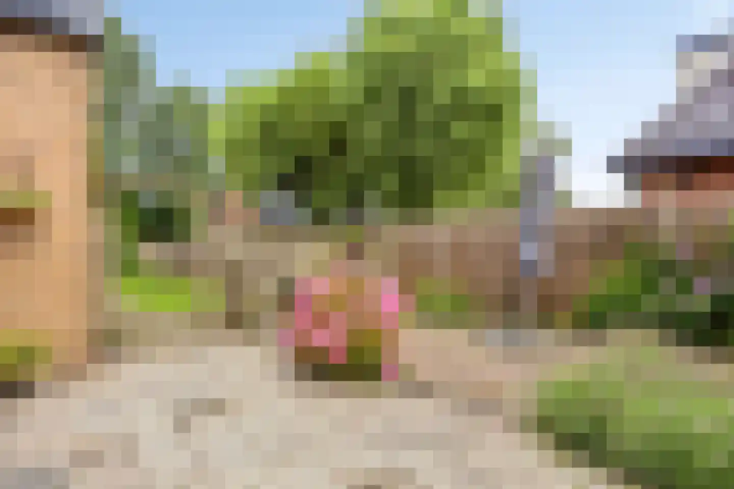 Blijversweg 25 Rijpwetering thumbnail 31