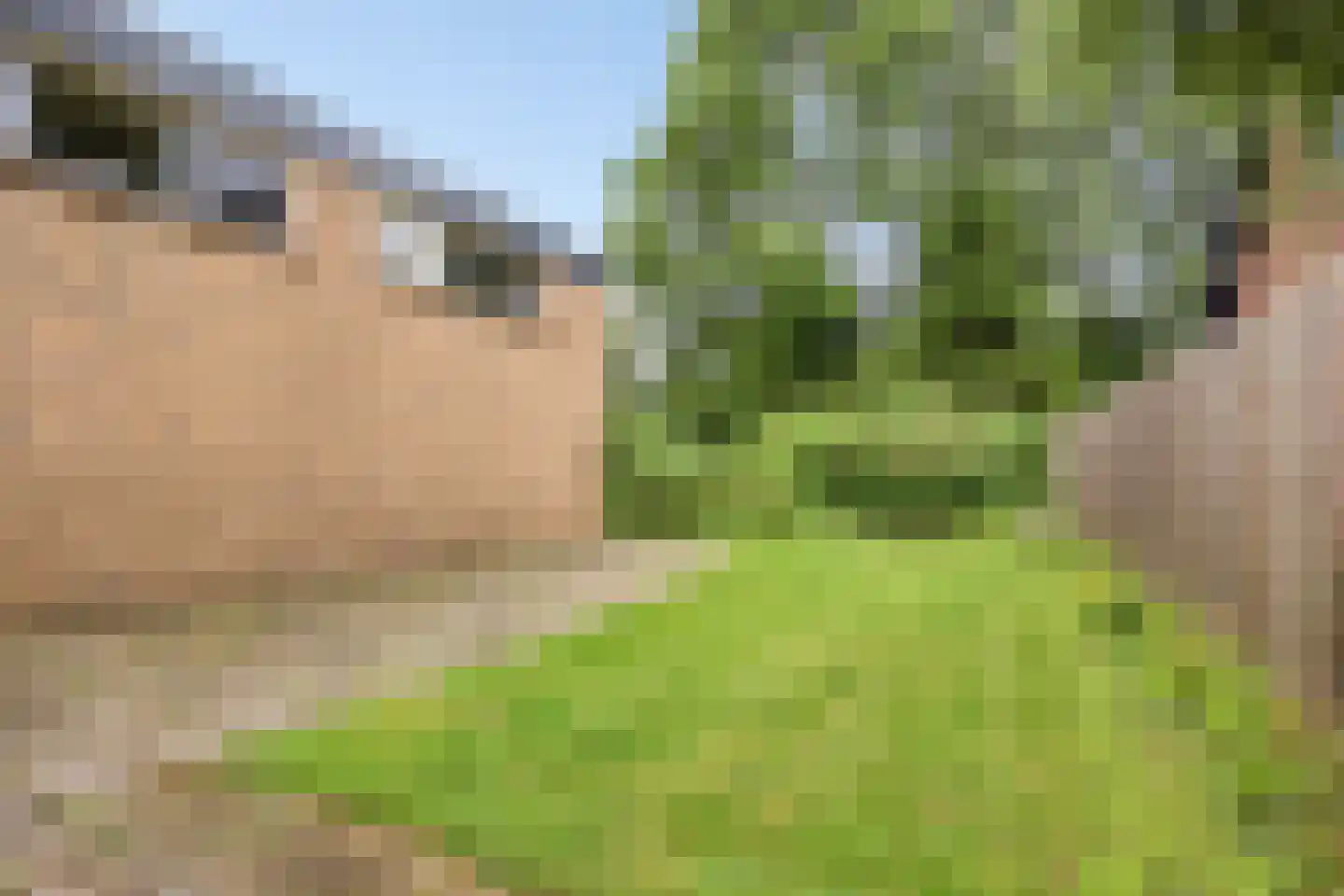 Blijversweg 25 Rijpwetering thumbnail 32