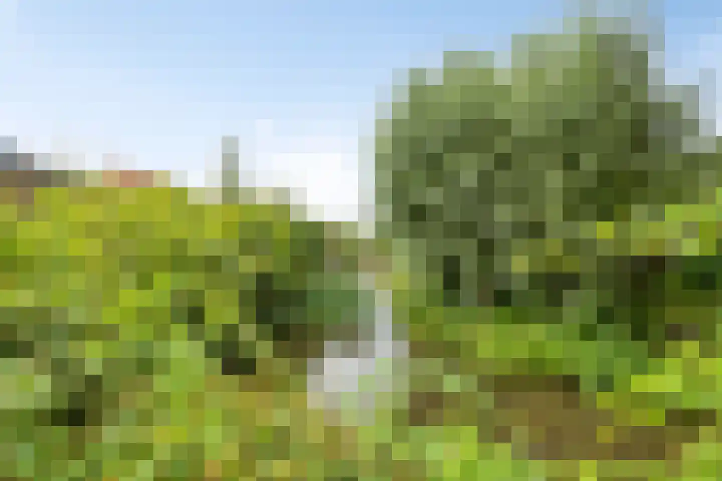 Blijversweg 25 Rijpwetering thumbnail 36