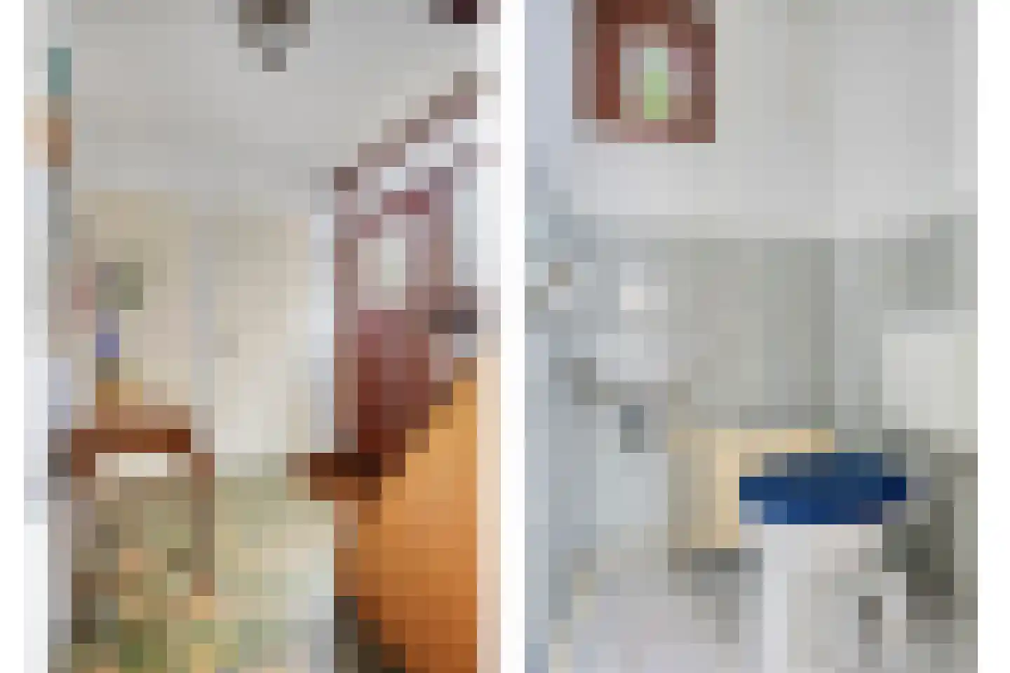 Blijversweg 25 Rijpwetering thumbnail 9
