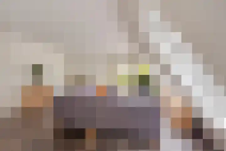 Blikakker 24 Deventer thumbnail 10