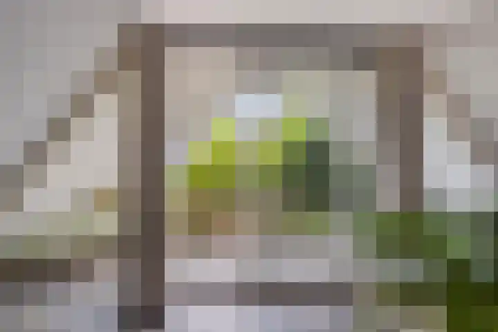 Blikakker 24 Deventer thumbnail 11