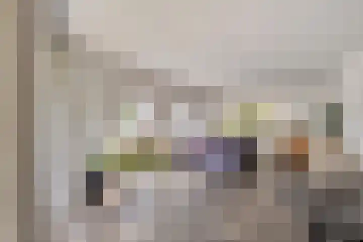 Blikakker 24 Deventer thumbnail 13